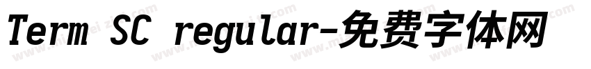 Term SC regular字体转换